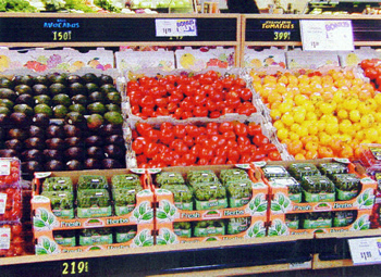 Market Herb Display