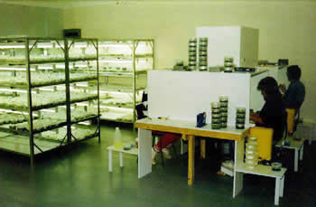 Tissue Culture Lab
